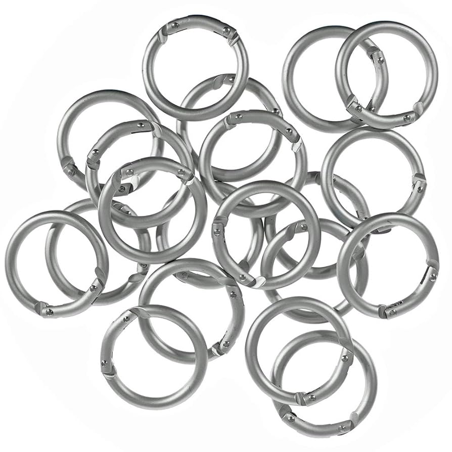 WILDSWANS ROUND CARABINER KEY RING ラウンド キーリング《ラウンドカラビナ》サージカルステンレス
